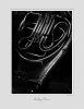 ANTIQUE_HORN--20081231_0050.jpg