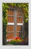 Flowers_and_Windows_2.jpg