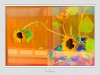 Sunflowers.jpg