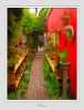 Walkway__-2.jpg