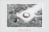 Benches_and_Snow.jpg