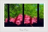 Foliage_at_Foyer.jpg