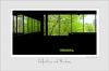 Reflections_and_Windows.jpg