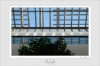 Skylight.jpg